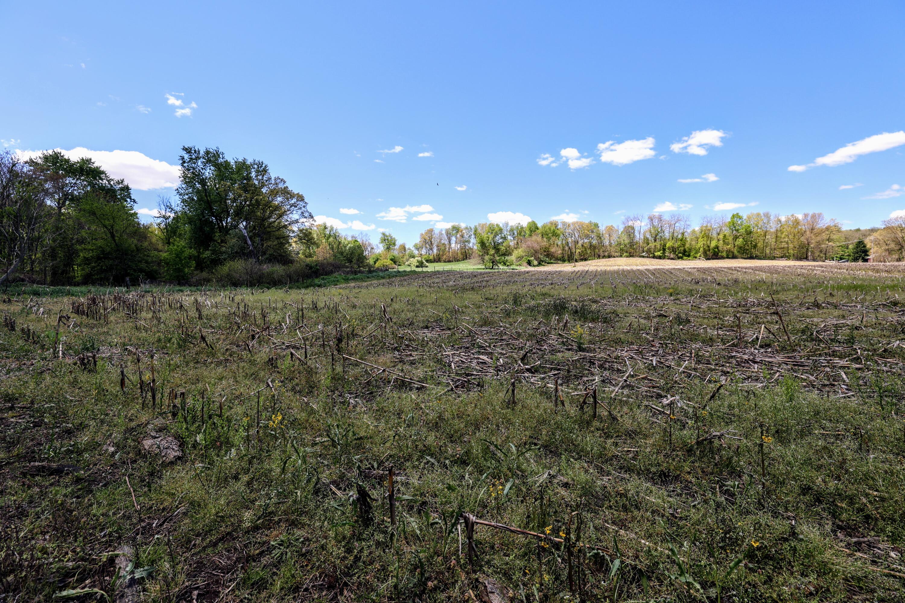 8 1/2 8 1/2 Mile Road Burlington, MI 49029 - Photo 16 of 55 16
