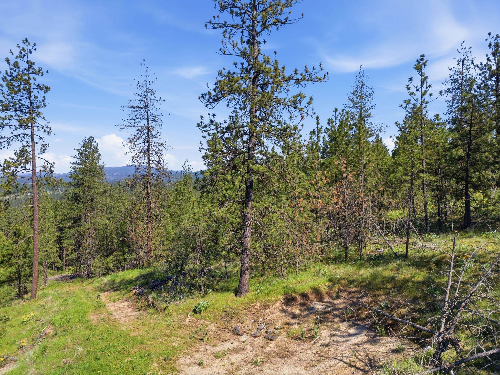 Nka Weaver Road, Unit LOT D Deer Park, WA 99006 - Photo 18 of 20