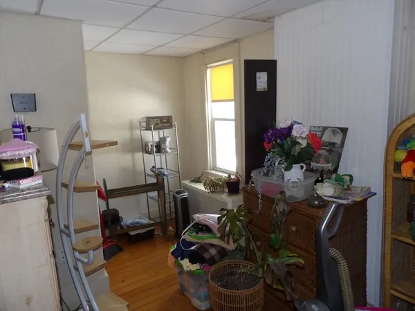 a room with furniture and a potted plant