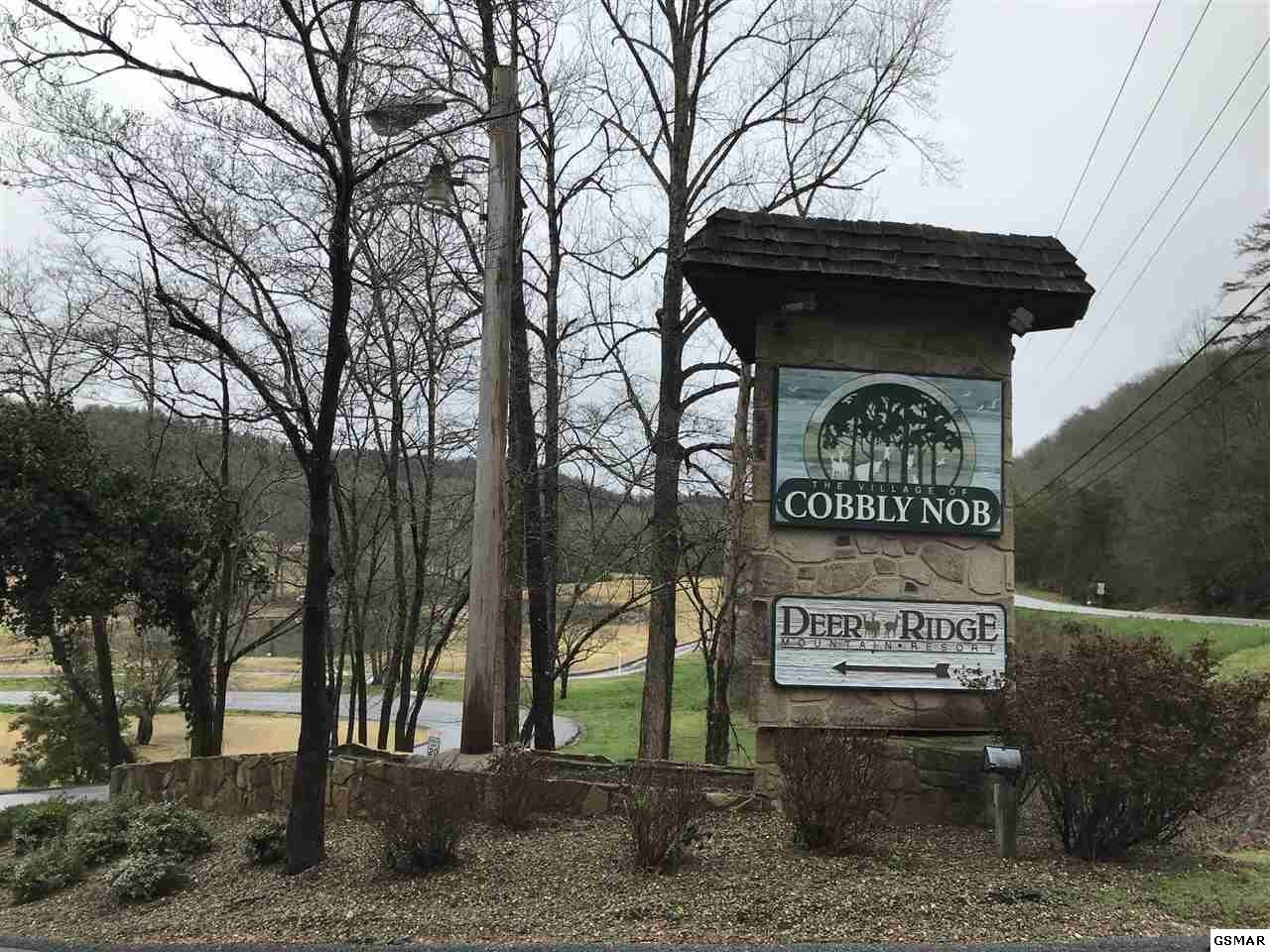 3 Butler Branch Road Gatlinburg, TN 37738 - Photo 4 of 5