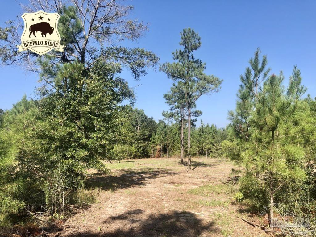 Lot 1-bs Buffalo Ridge Road Milton, FL 32571 - Photo 1 of 15