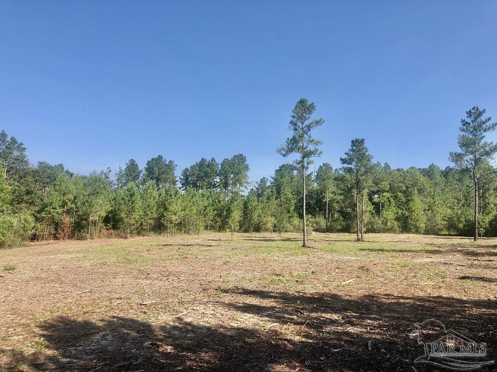 Lot 1-bs Buffalo Ridge Road Milton, FL 32571 - Photo 5 of 15