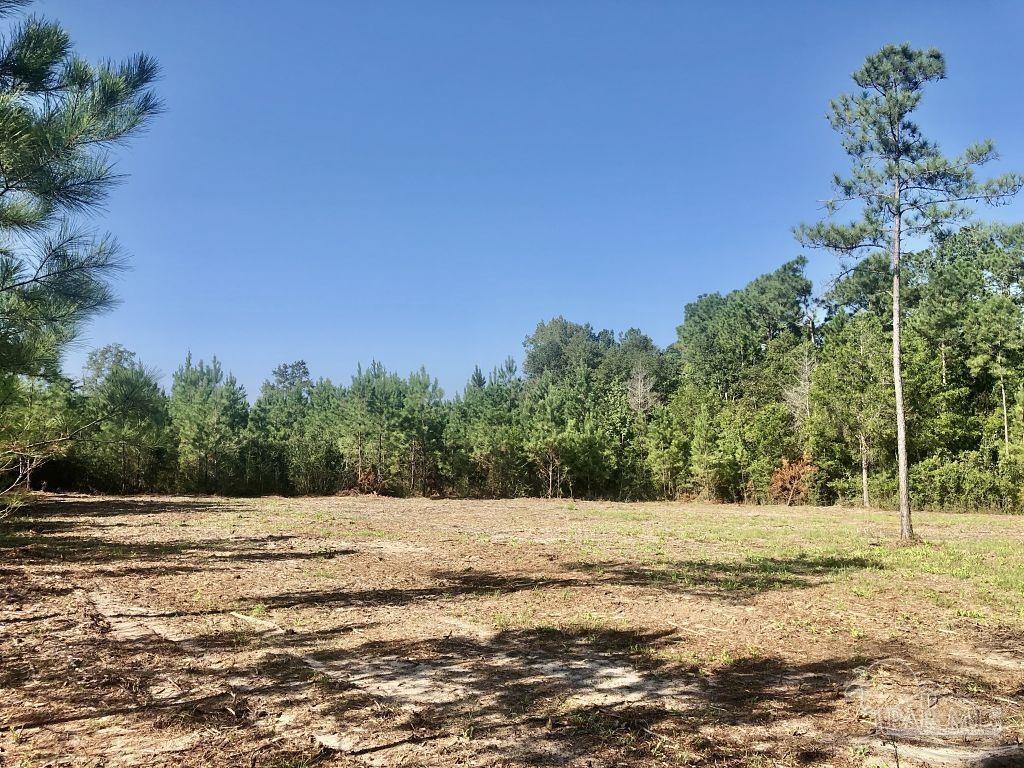 Lot 1-bs Buffalo Ridge Road Milton, FL 32571 - Photo 6 of 15