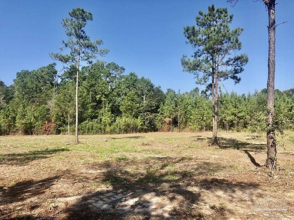 Lot 1-bs Buffalo Ridge Road Milton, FL 32571 - Photo 7 of 15