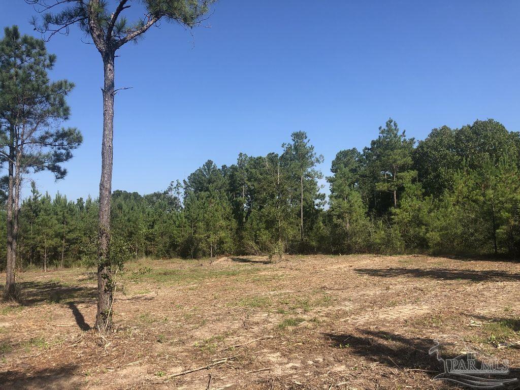 Lot 1-bs Buffalo Ridge Road Milton, FL 32571 - Photo 8 of 15
