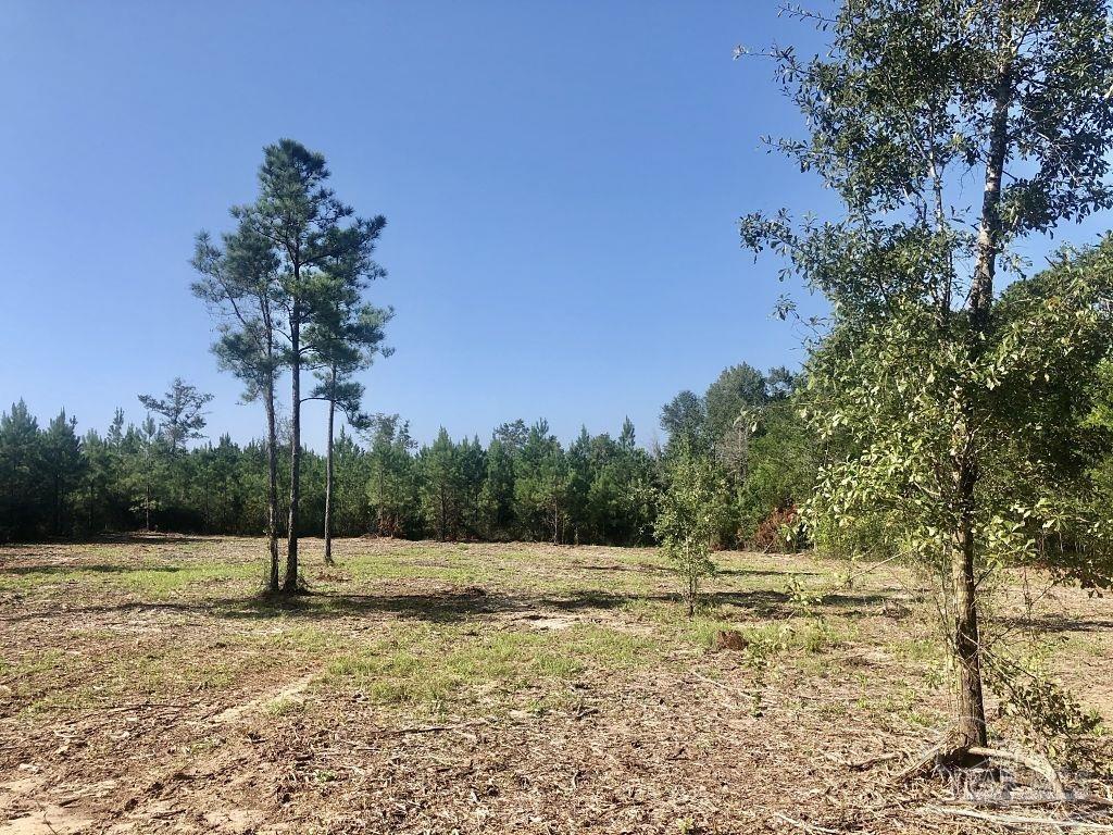 Lot 1-bs Buffalo Ridge Road Milton, FL 32571 - Photo 9 of 15