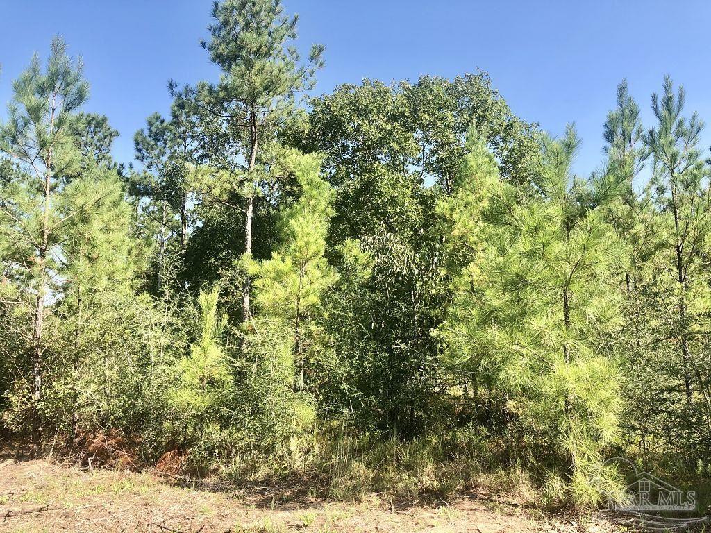 Lot 1-bs Buffalo Ridge Road Milton, FL 32571 - Photo 10 of 15