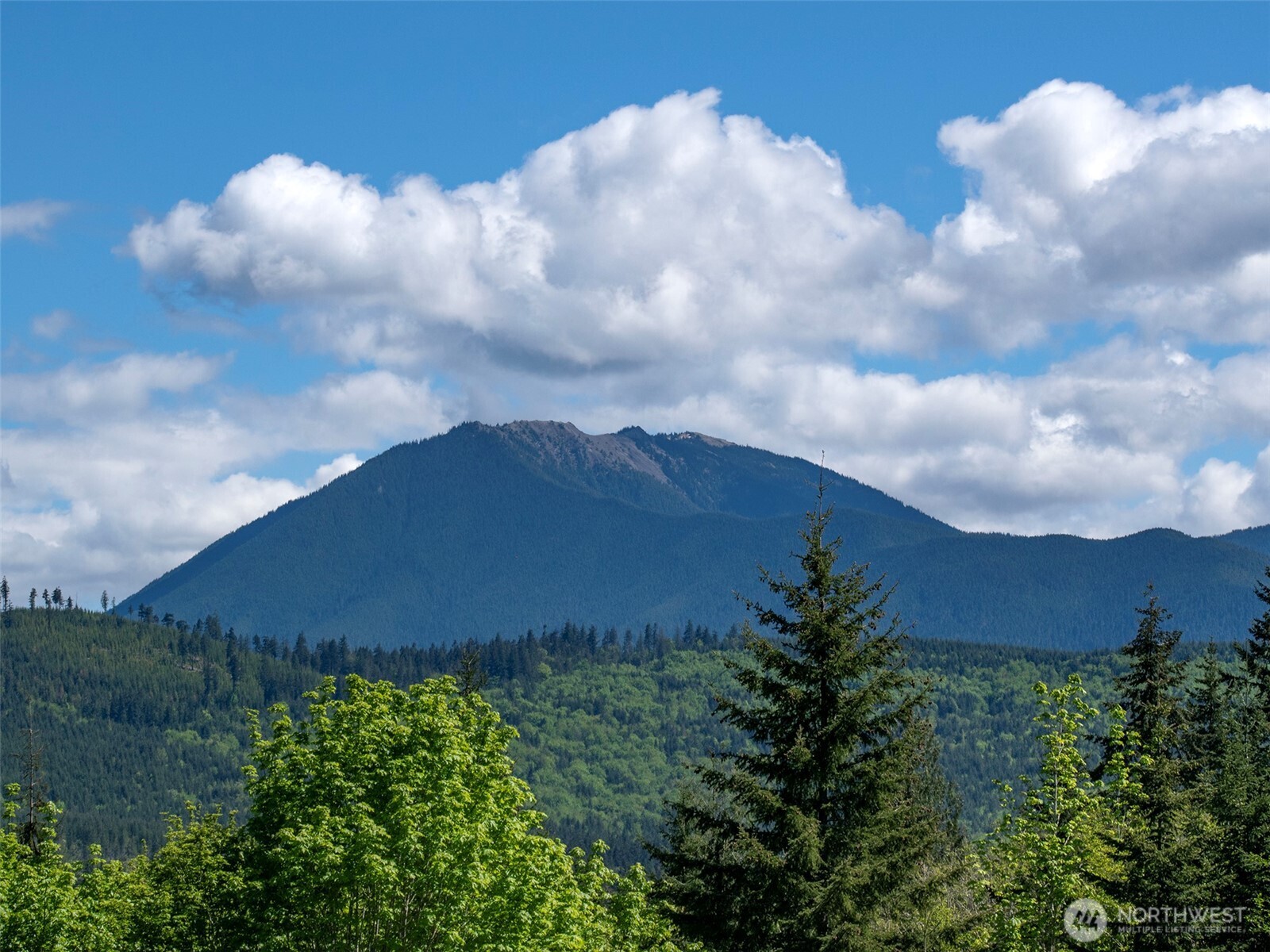 9999 Kruse Road Port Angeles, WA 98362 - Photo 16 of 39