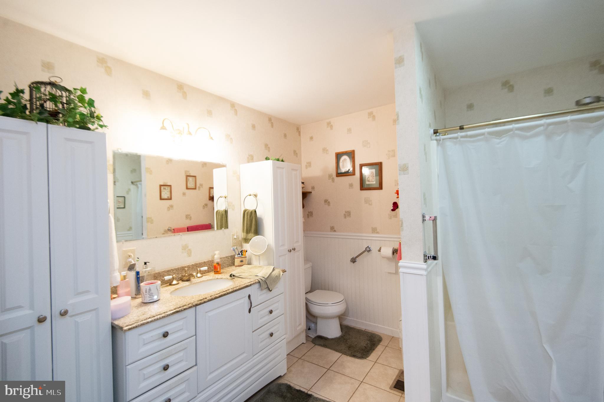 5751 Thompsontown Road East New Market, MD 21631 - Photo 16 of 38 primary bath