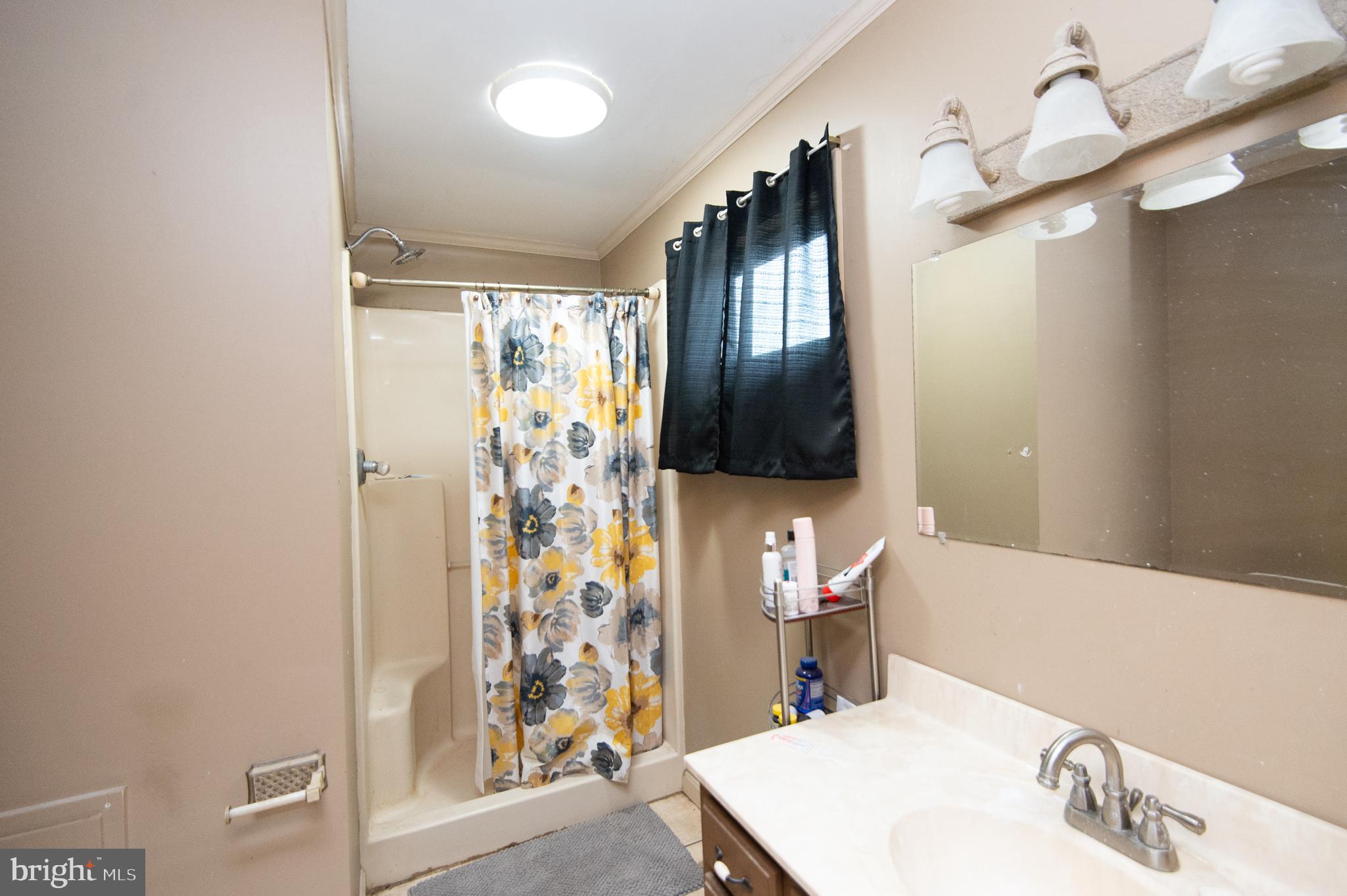 5751 Thompsontown Road East New Market, MD 21631 - Photo 27 of 38 primary bath