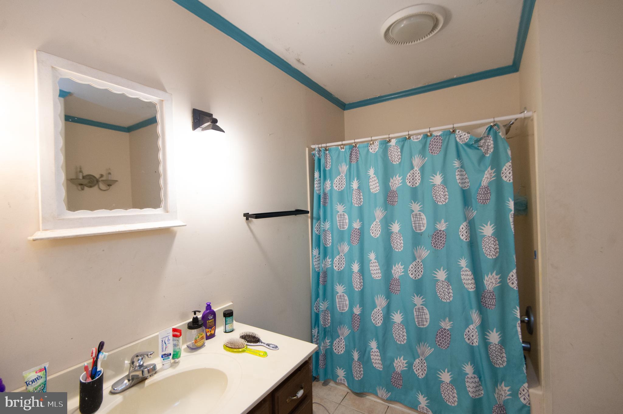 5751 Thompsontown Road East New Market, MD 21631 - Photo 28 of 38 bath #2