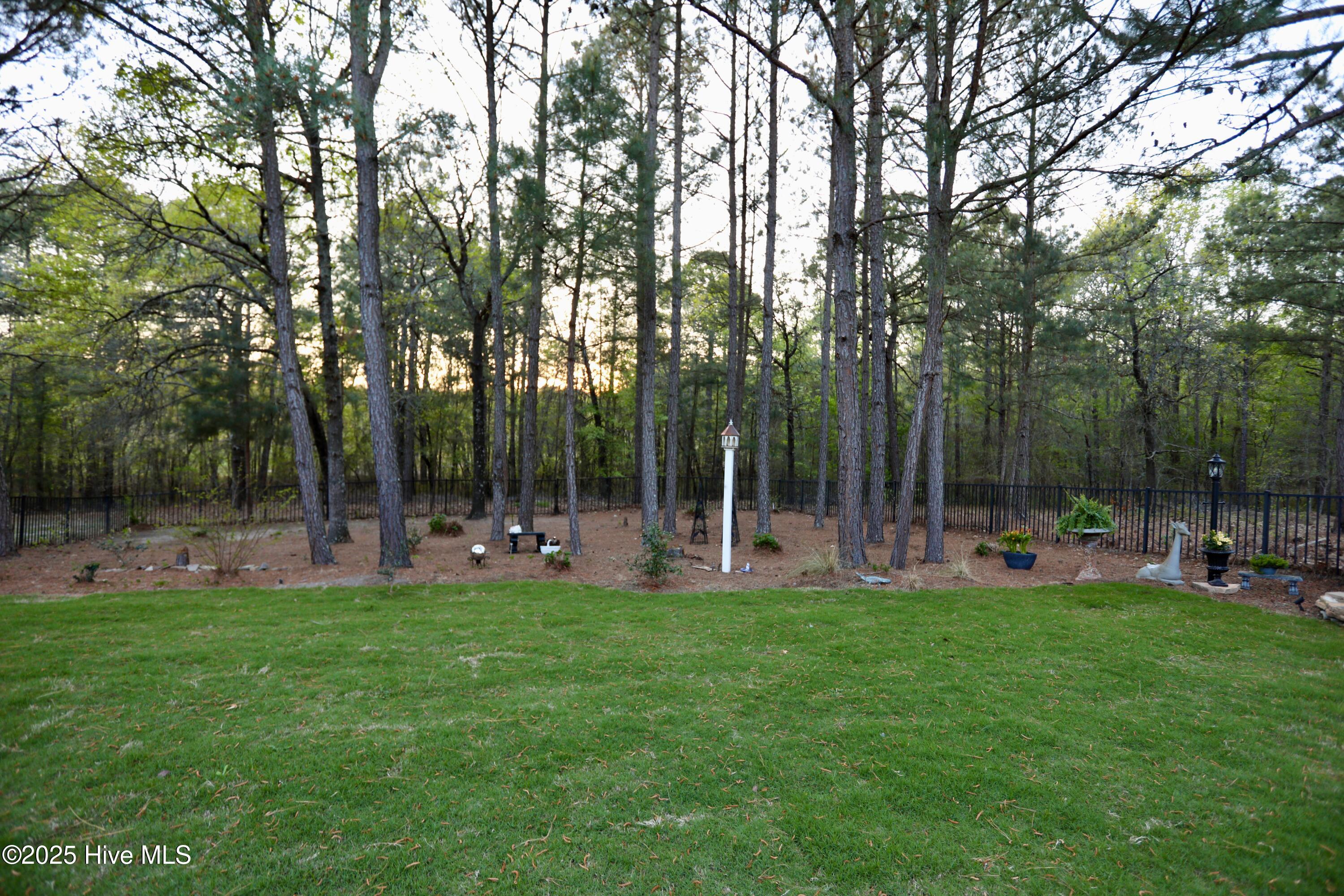6680 Beulah Hill Church Road West End, NC 27376 - Photo 124 of 141 New Sod Backyard
