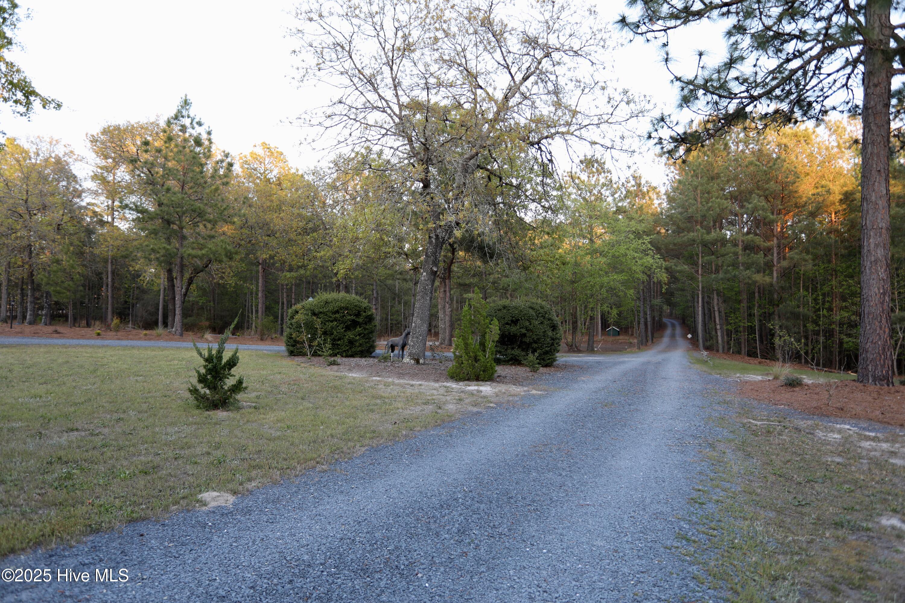 6680 Beulah Hill Church Road West End, NC 27376 - Photo 130 of 141 Driveway Exit Direction