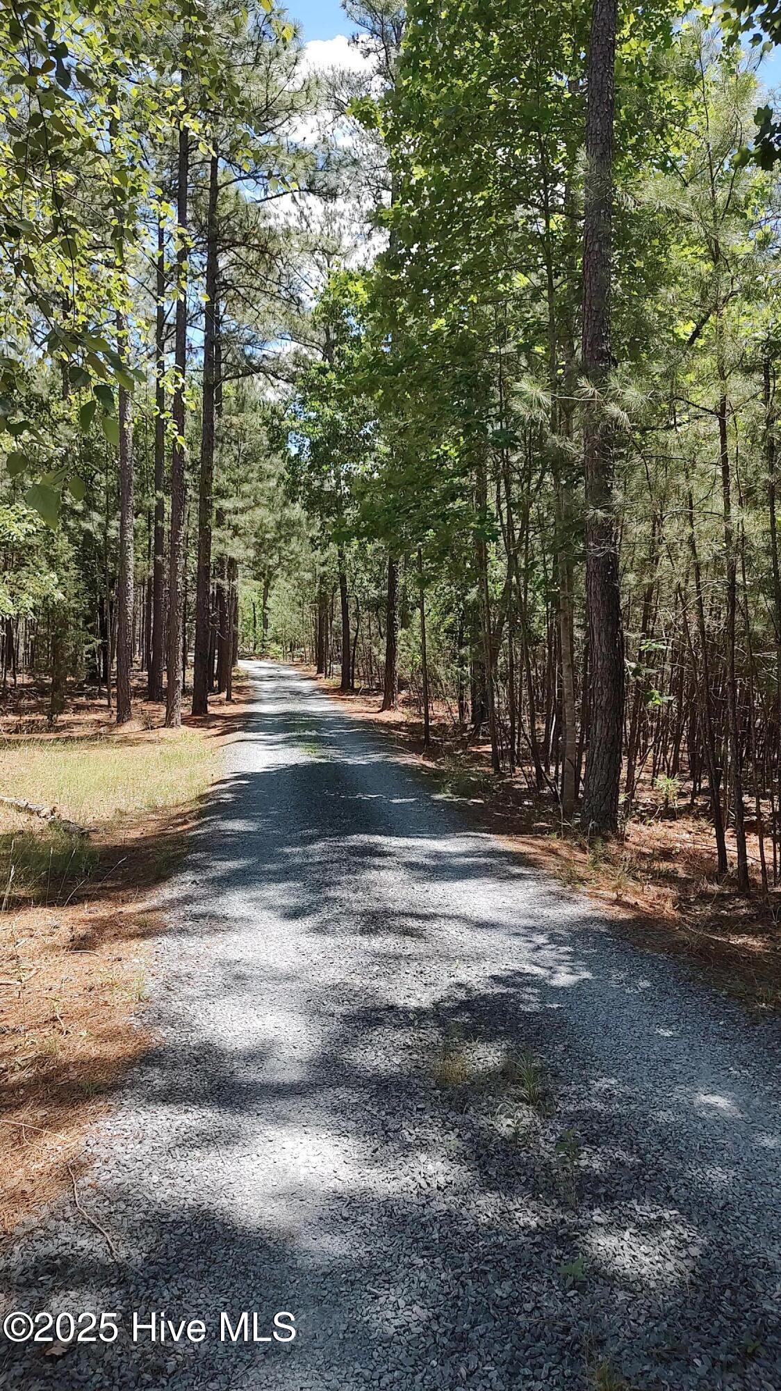 6680 Beulah Hill Church Road West End, NC 27376 - Photo 22 of 141 Wooded Driveway