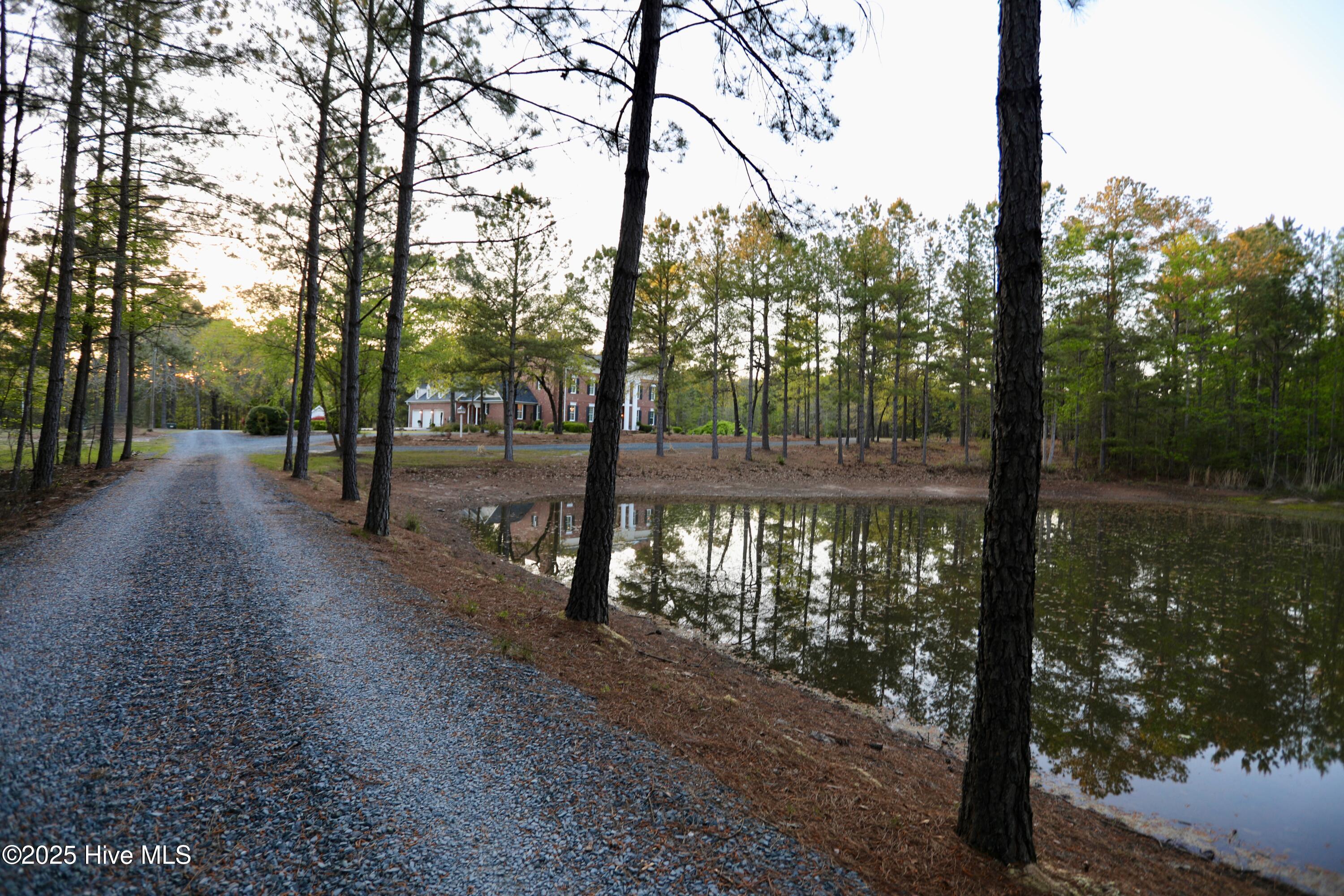 6680 Beulah Hill Church Road West End, NC 27376 - Photo 23 of 141 Driveway by Pond