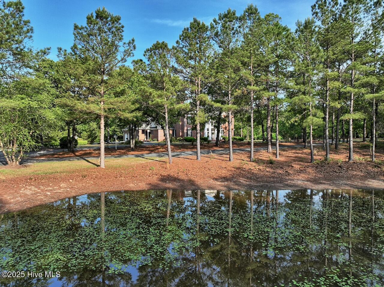 6680 Beulah Hill Church Road West End, NC 27376 - Photo 26 of 141 Pond Front