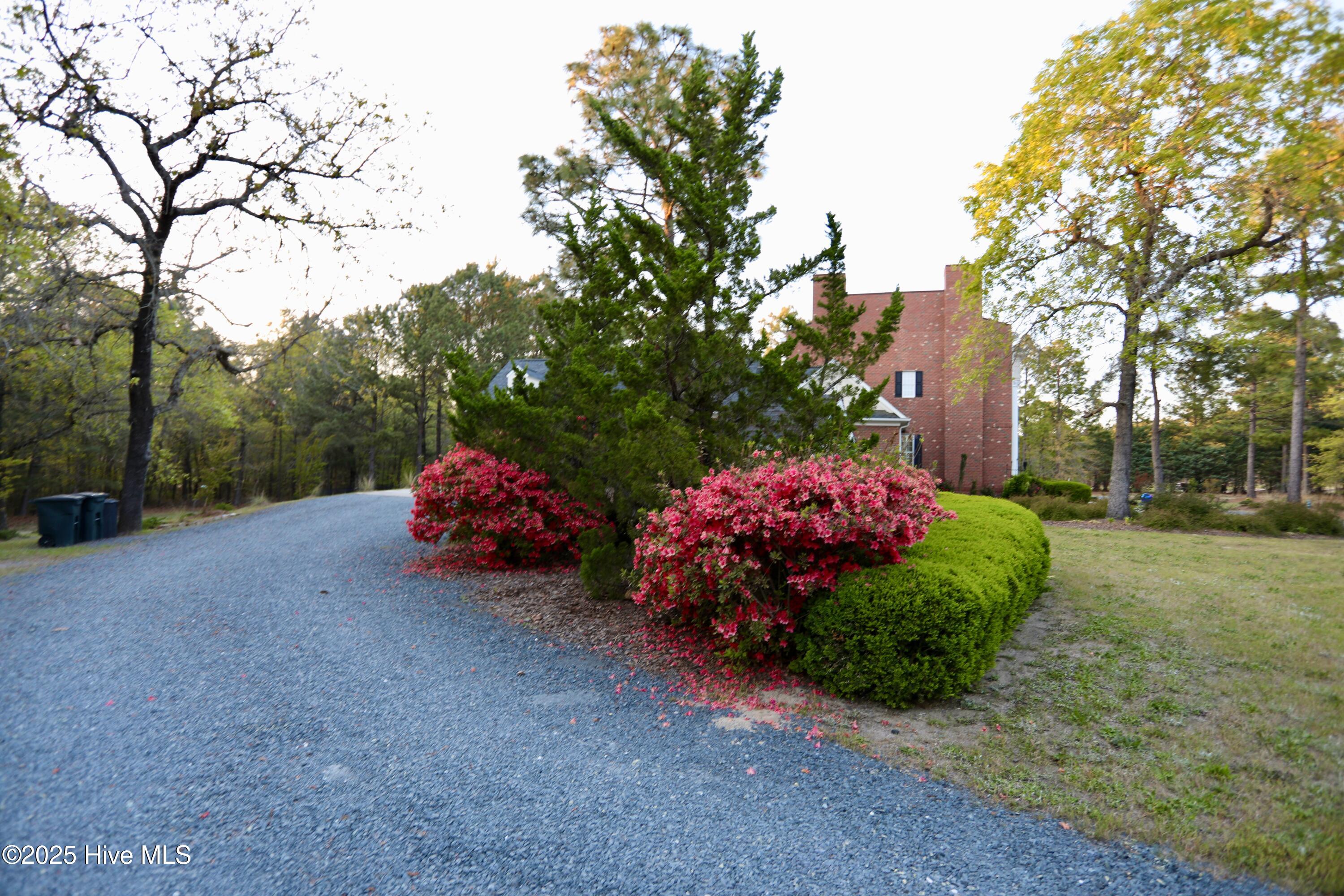 6680 Beulah Hill Church Road West End, NC 27376 - Photo 27 of 141 Circle Gravel Driveway