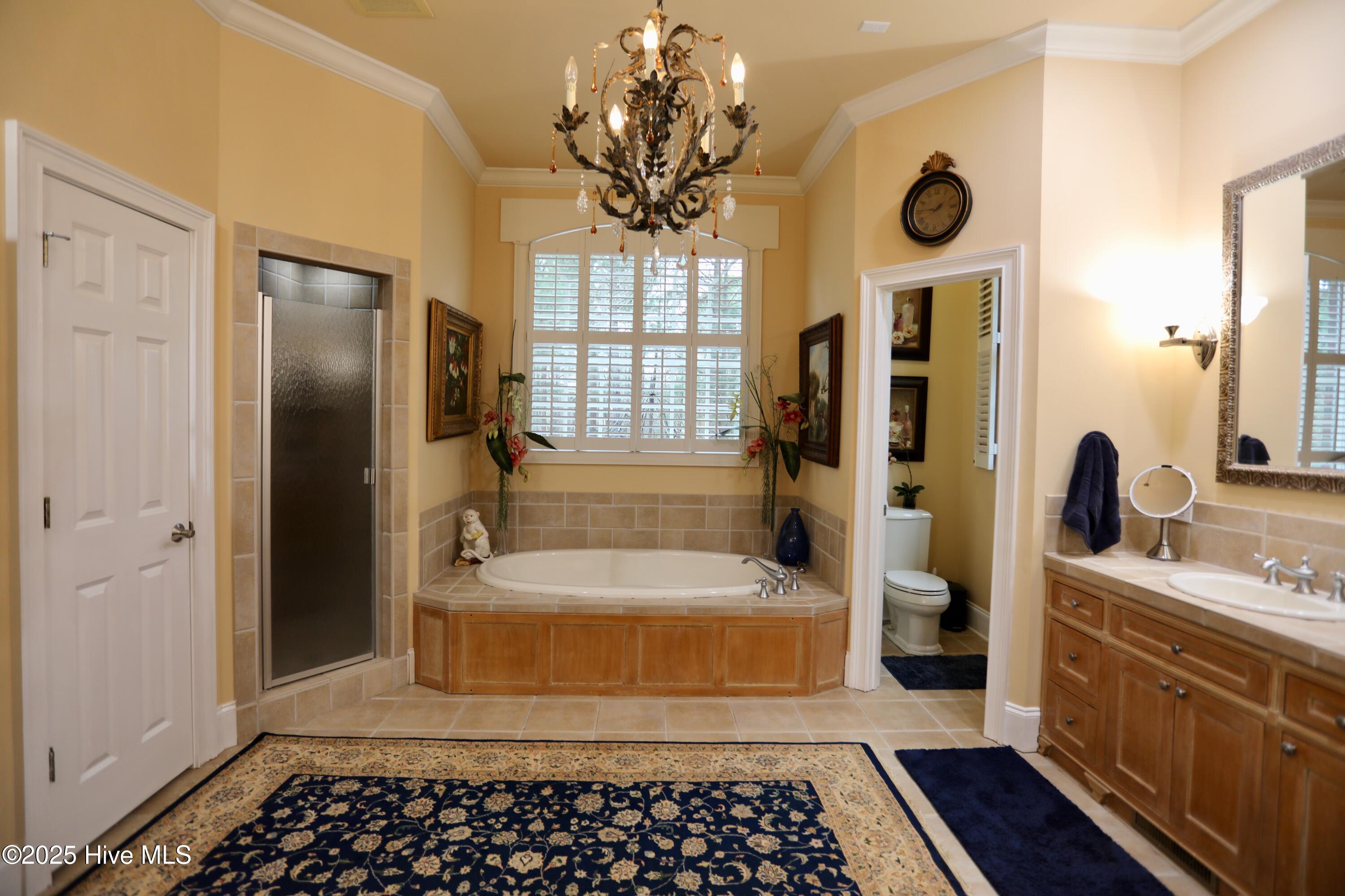 6680 Beulah Hill Church Road West End, NC 27376 - Photo 86 of 141 Ensuite Master Bath
