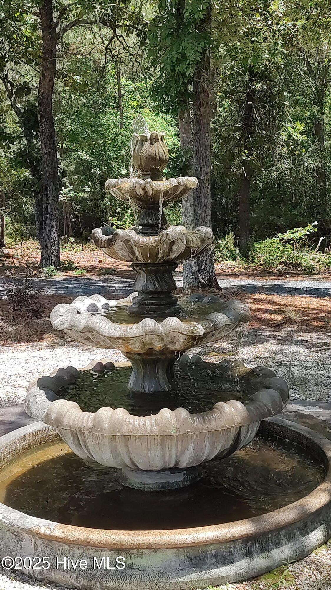 6680 Beulah Hill Church Road West End, NC 27376 - Photo 7 of 141 Front Fountain