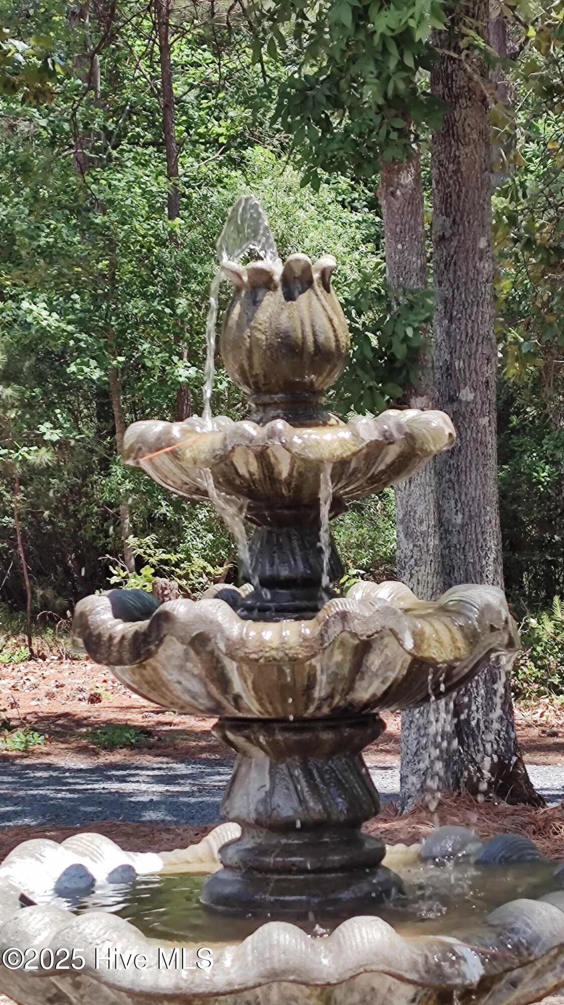 6680 Beulah Hill Church Road West End, NC 27376 - Photo 8 of 141 Front Fountain