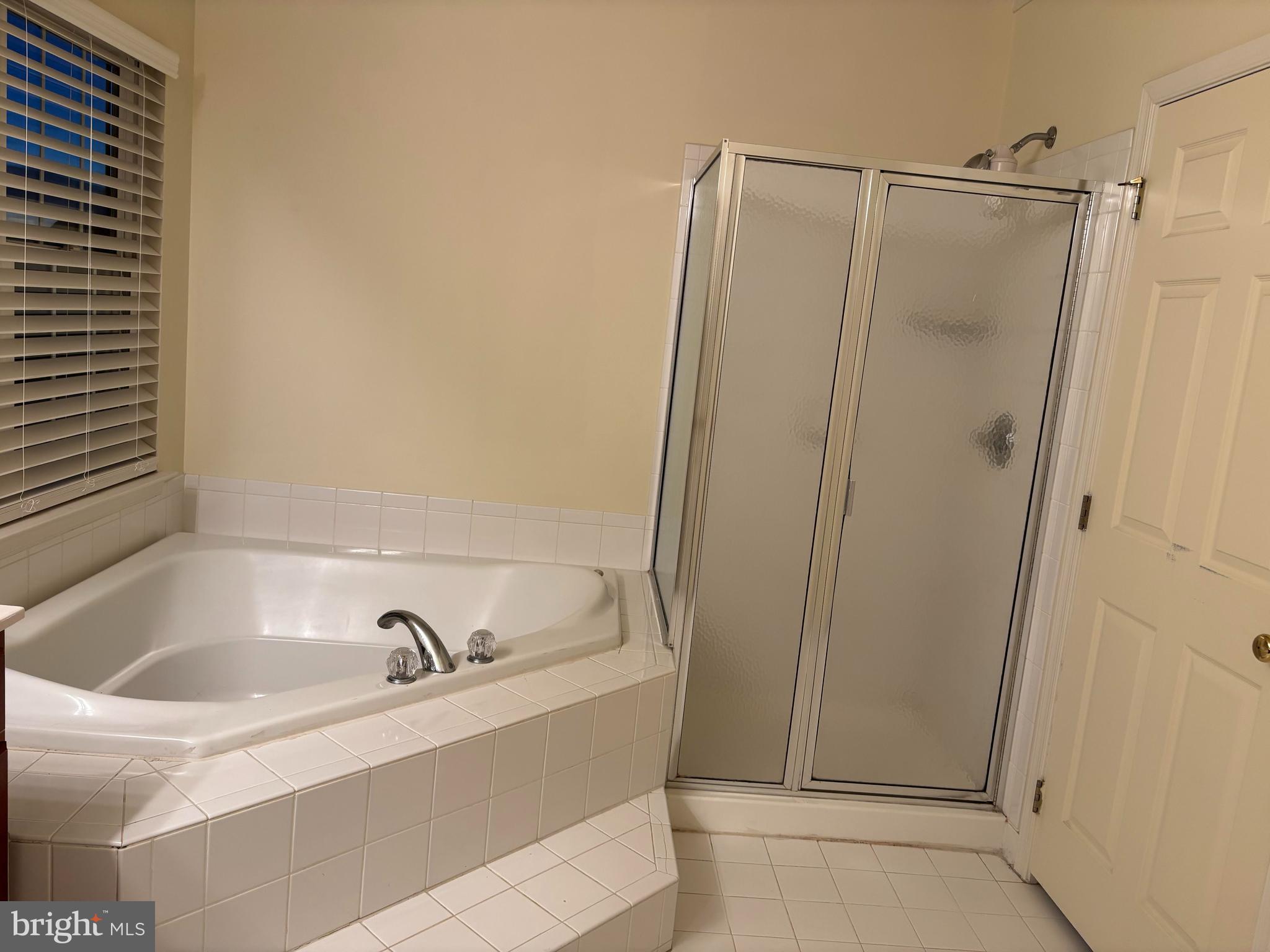 43725 Banshee Heights Terrace Ashburn, VA 20148 - Photo 21 of 30 soaking tub/standup shower