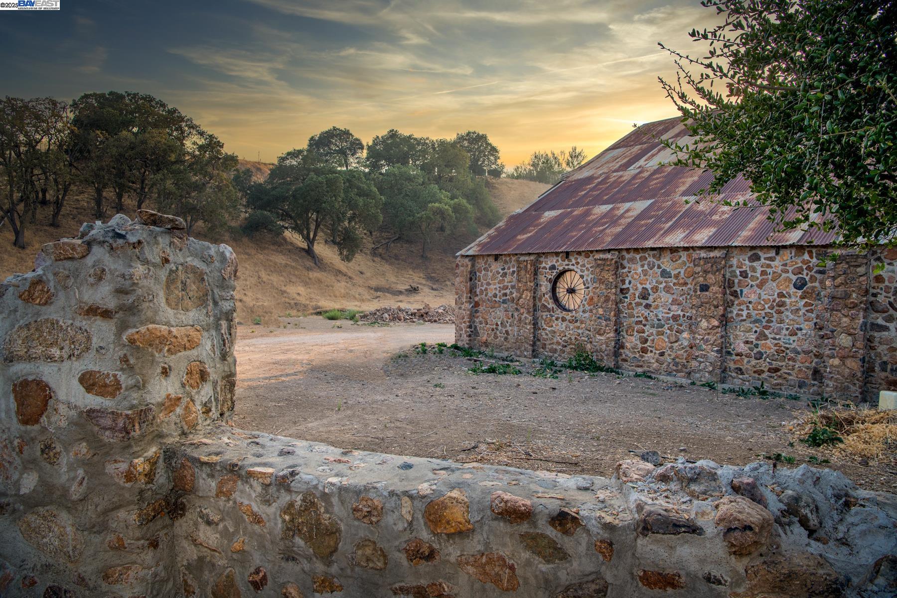 a view of a barn with a yard and a large tree