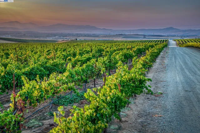 a view of a yard with an outdoor space