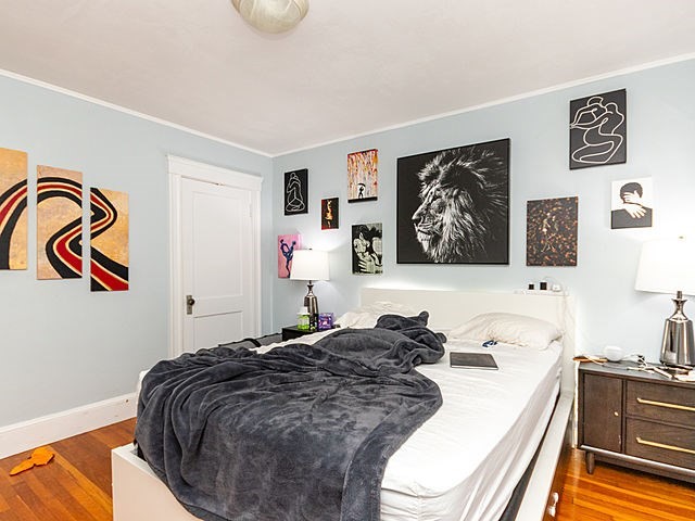 41 Barnard Road Belmont, MA 02478 - Photo 11 of 20 Gallery Image 11
