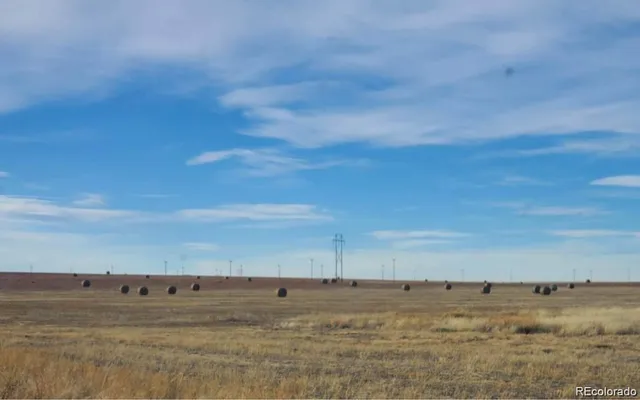 a view of beach and ocean