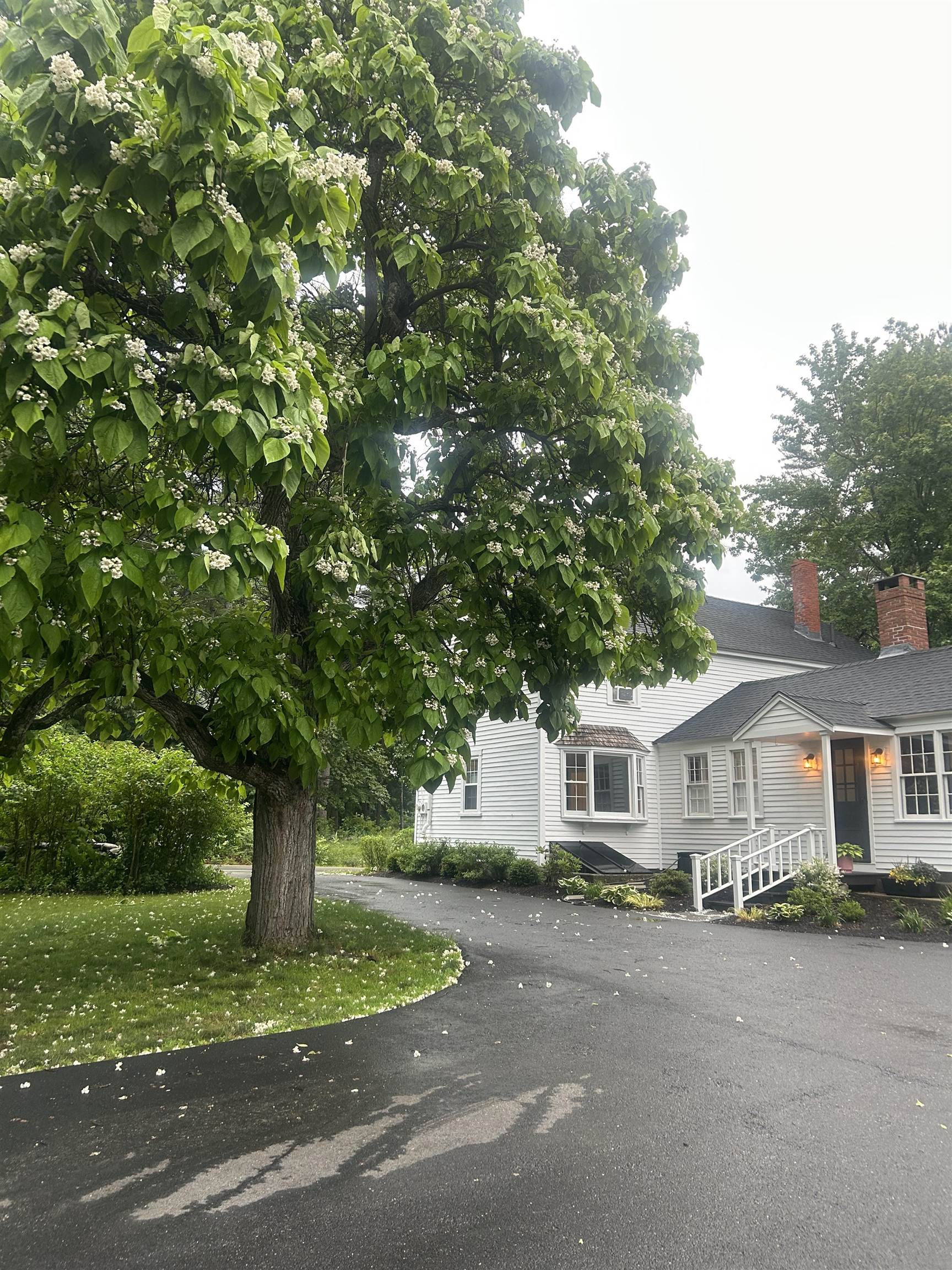 850 Washington Road Rye, NH 03870 - Photo 16 of 51