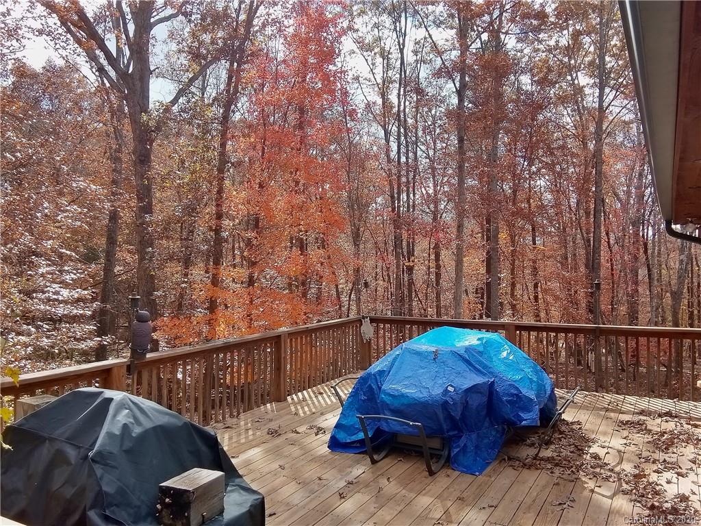 279 Cinnamon Ridge Rutherfordton, NC 28139 - Photo 5 of 19