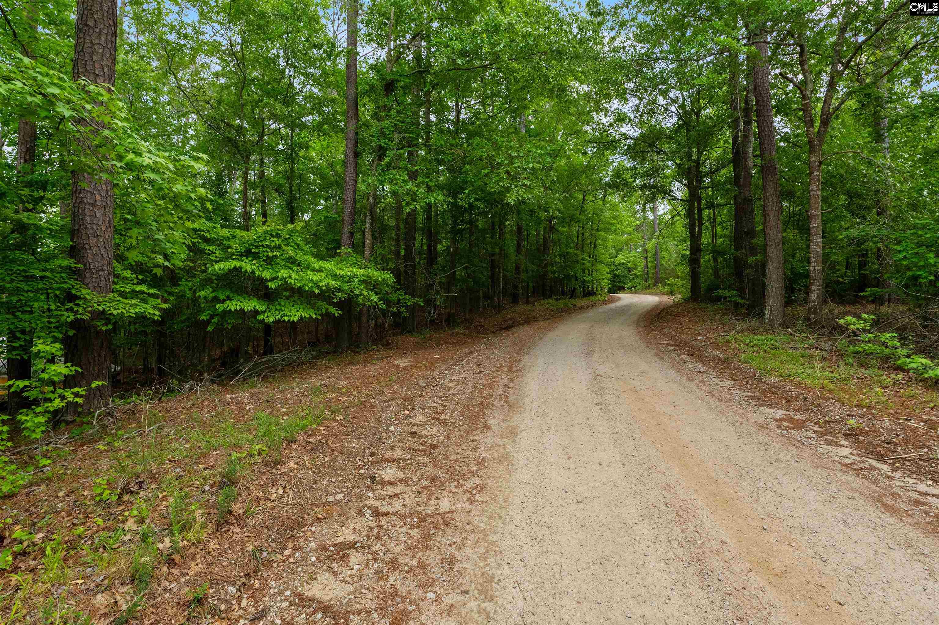 1427-1 Buck Hill Landing Road Ridgeway, SC 29130 - Photo 2 of 17