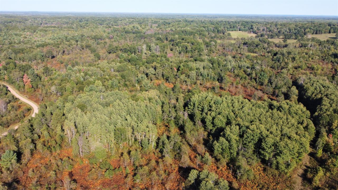 N15400 Smiley Road Amberg, WI 54102 - Photo 39 of 71 Gallery Image 39