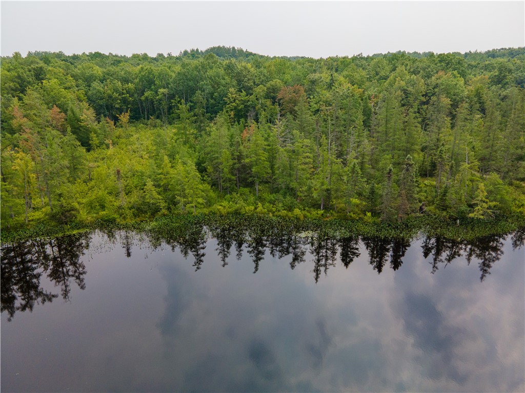 Lot 28 Round Lake Road Bruce, WI 54819 - Photo 6 of 7
