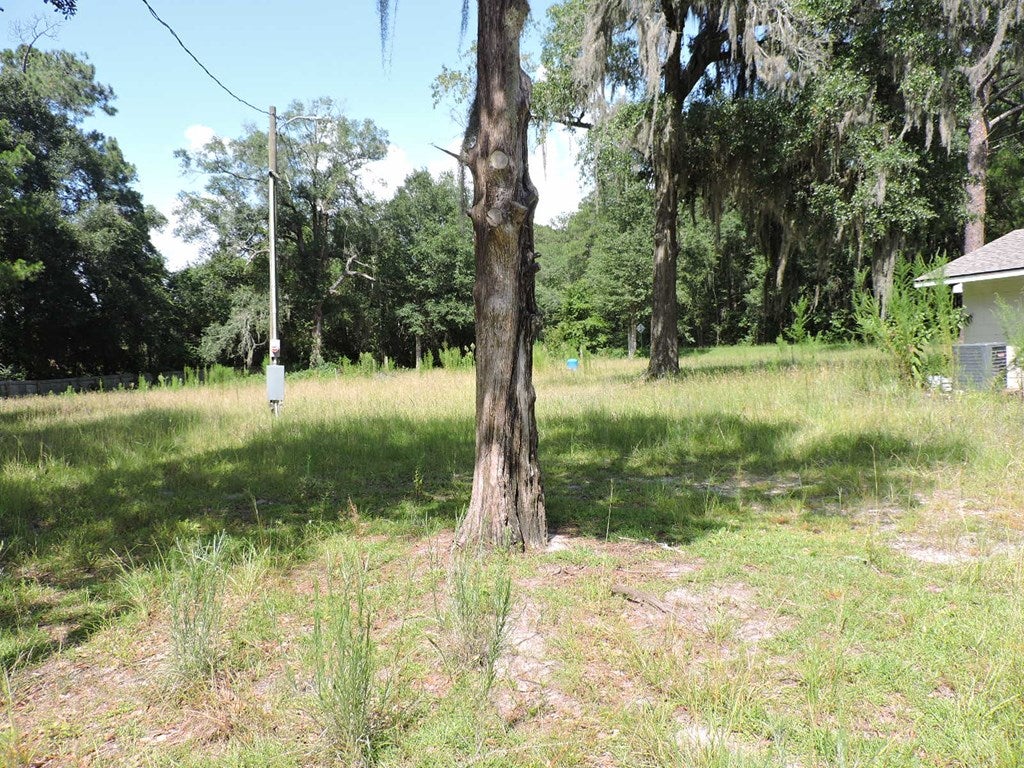 5355 Massee Post Road Adel, GA 31620 - Photo 4 of 10 Gallery Image 4
