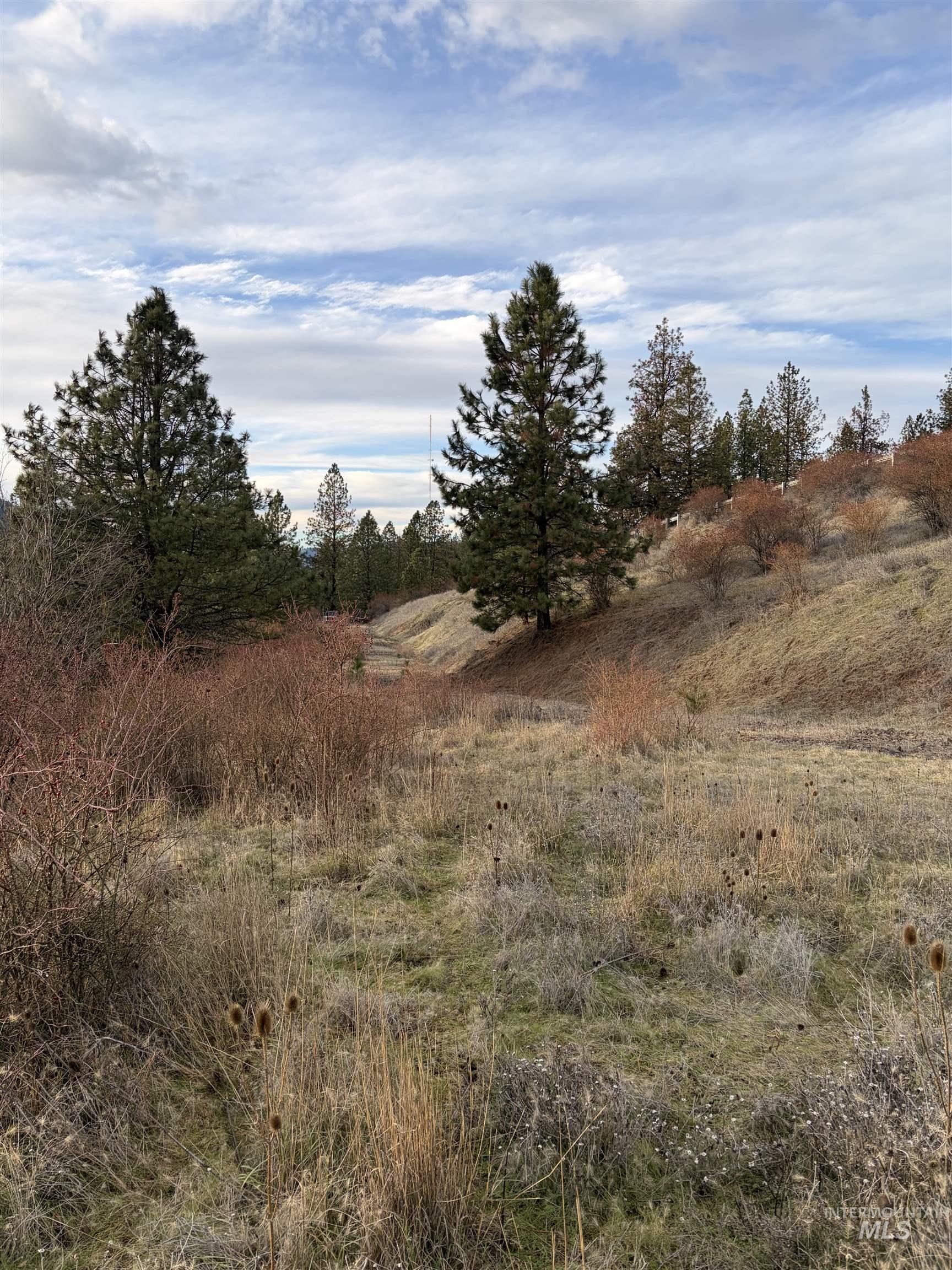 948 Upper Fords Creek Road Orofino, ID 83544 - Photo 11 of 12 View of undeveloped land