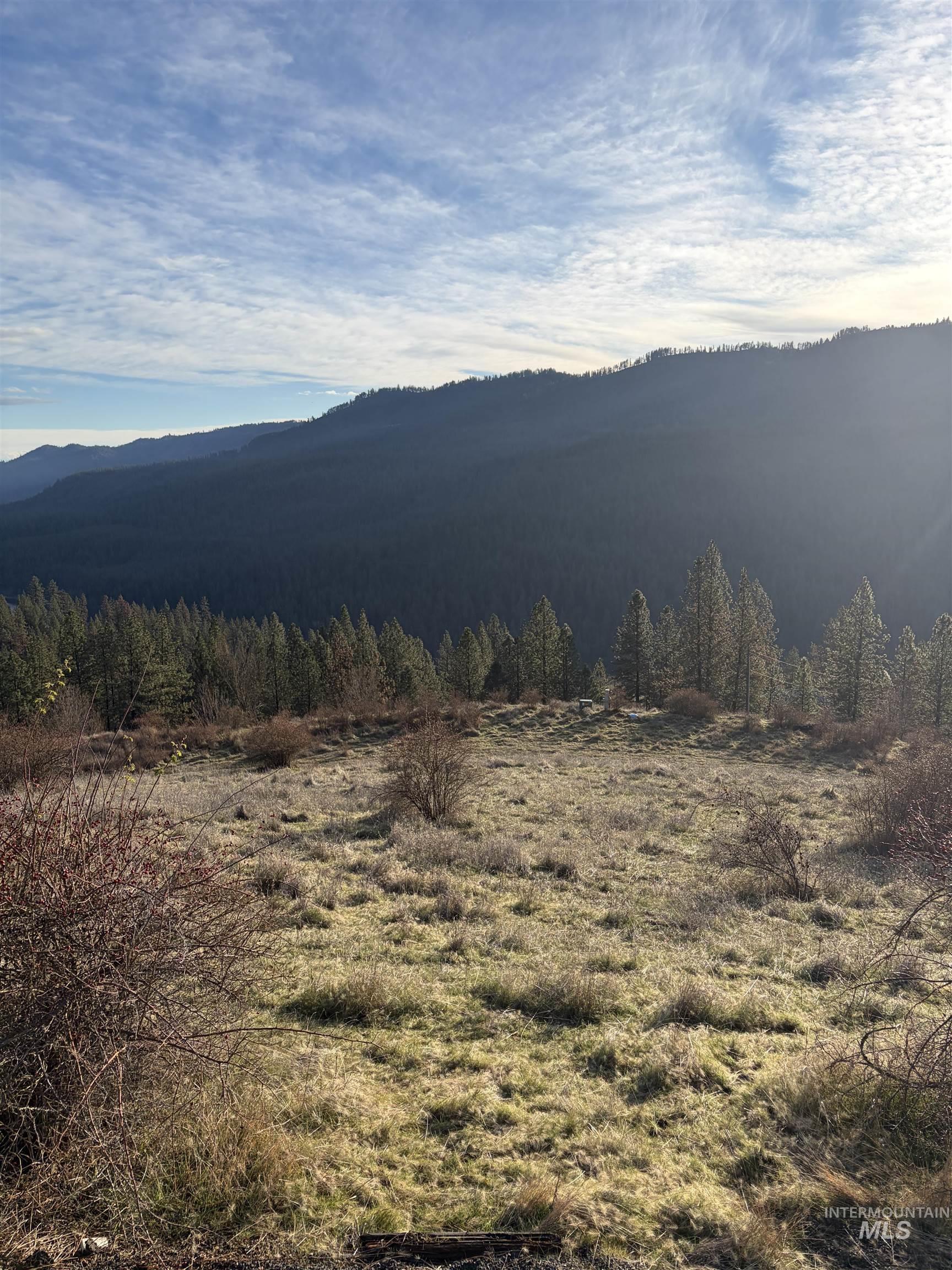 948 Upper Fords Creek Road Orofino, ID 83544 - Photo 3 of 12 View of mountain background