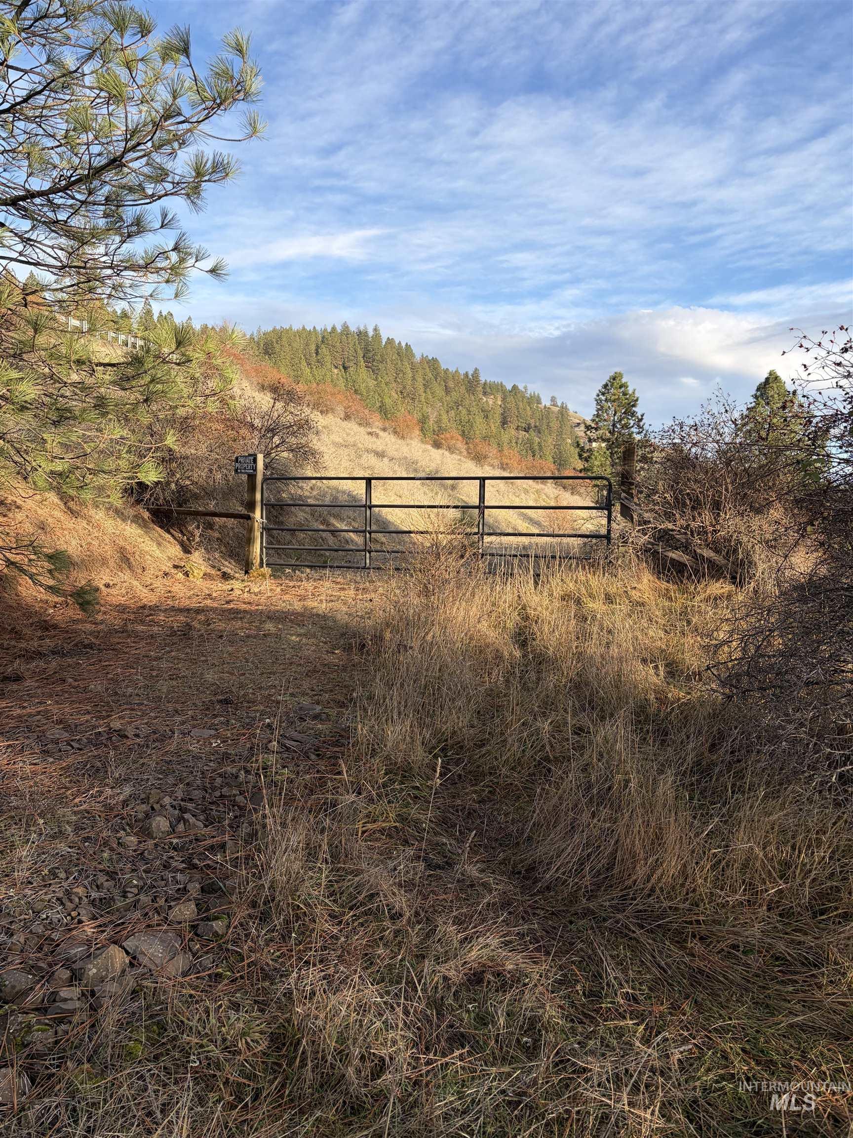 948 Upper Fords Creek Road Orofino, ID 83544 - Photo 4 of 12 View of yard featuring a wooded view