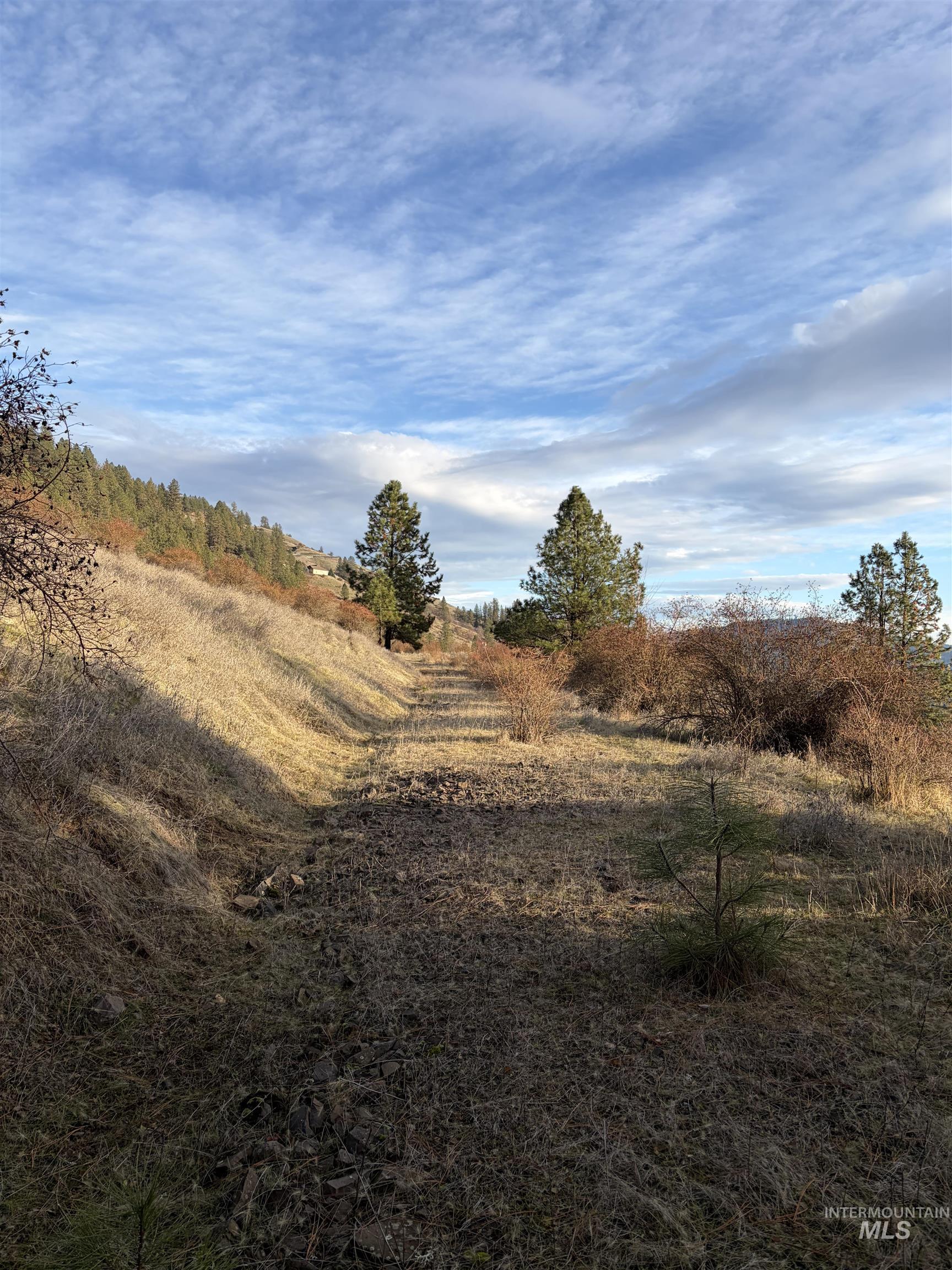 948 Upper Fords Creek Road Orofino, ID 83544 - Photo 5 of 12 View of local wilderness