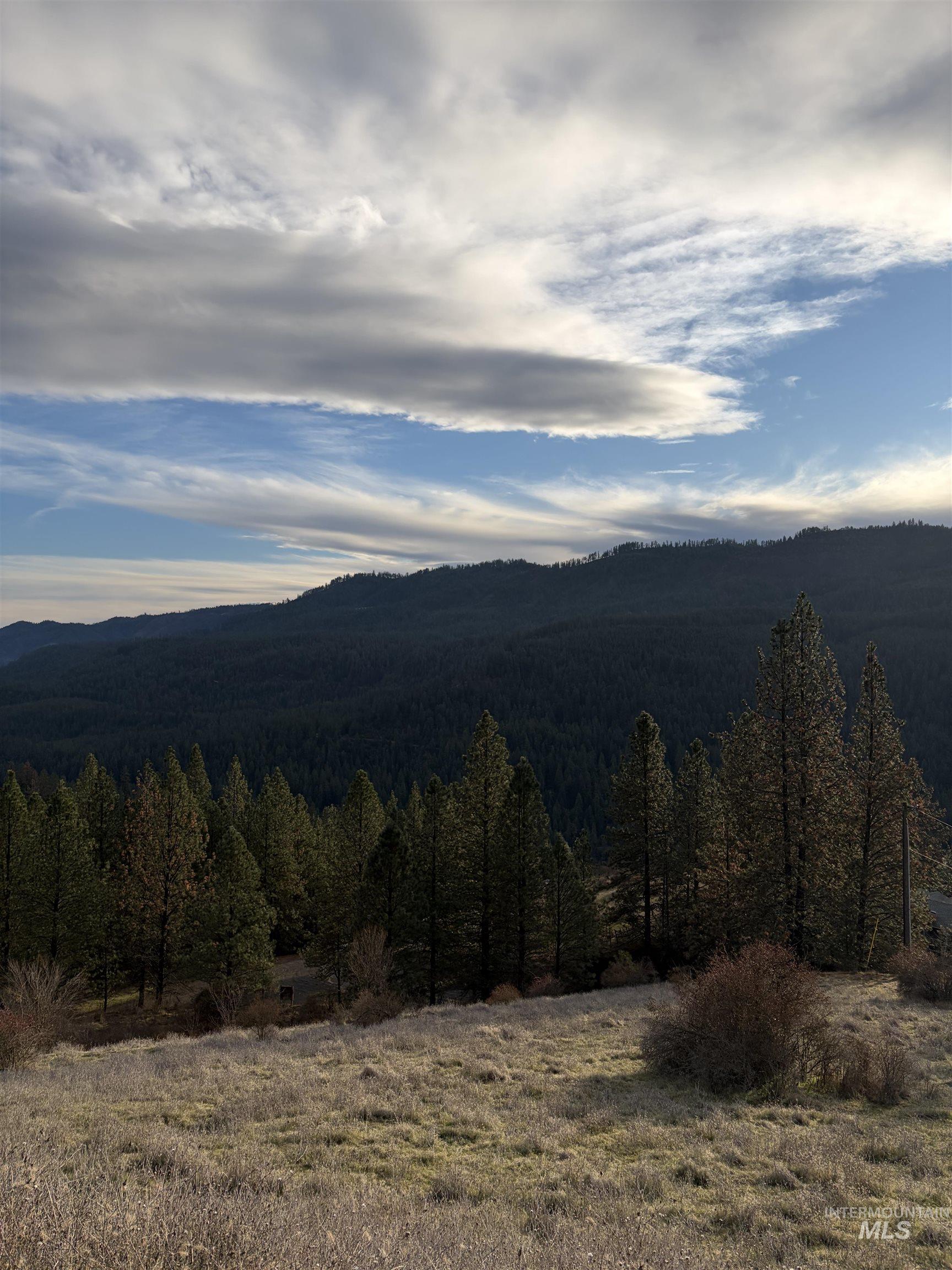 948 Upper Fords Creek Road Orofino, ID 83544 - Photo 9 of 12 Mountain view featuring a heavily wooded area