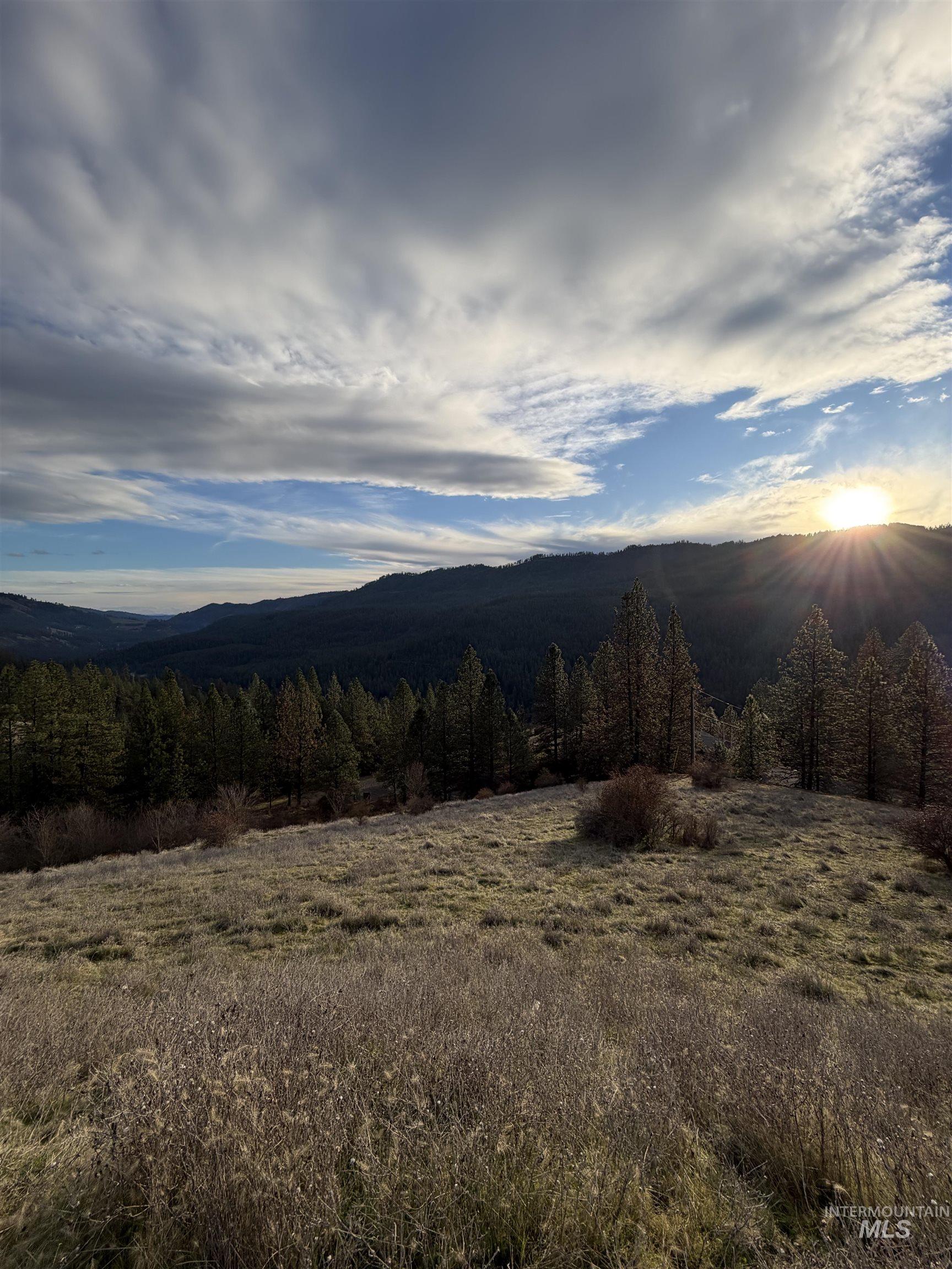 948 Upper Fords Creek Road Orofino, ID 83544 - Photo 10 of 12 View of mountain backdrop