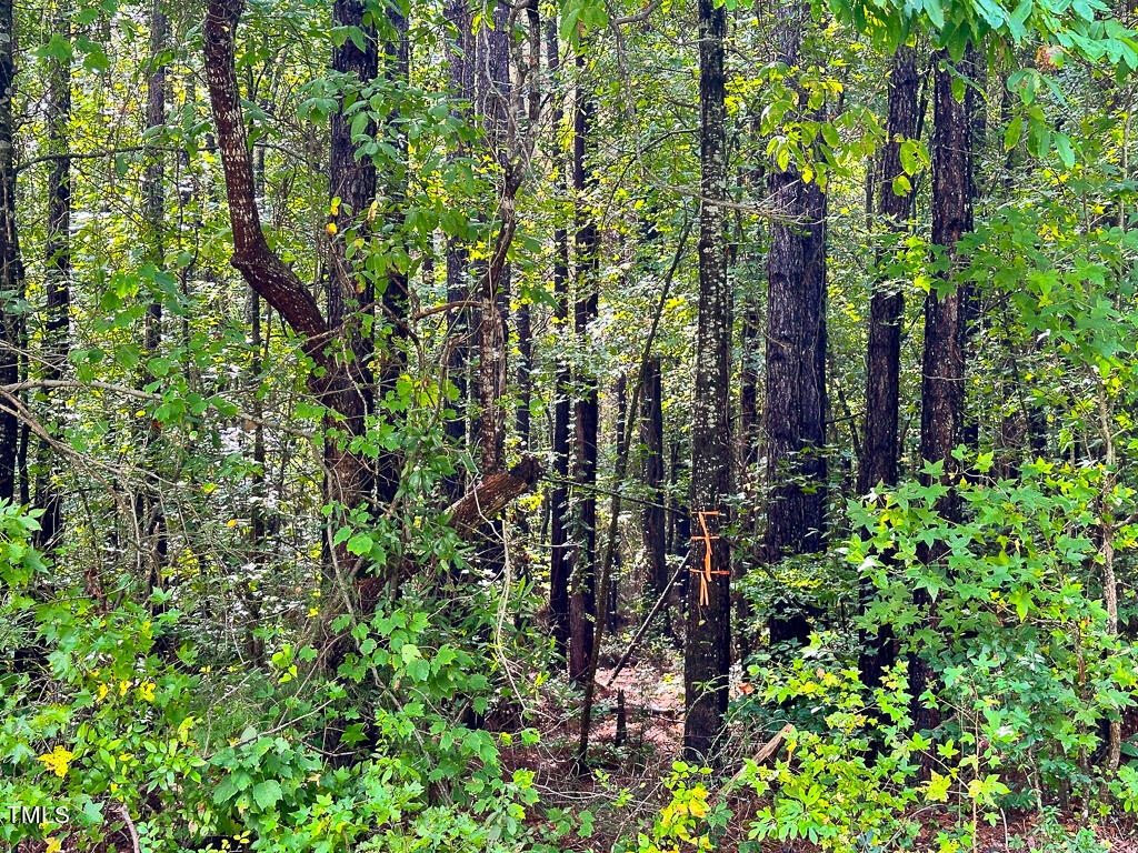 0 Greys Mill Road Louisburg, NC 27549 - Photo 10 of 13 IMG_9354