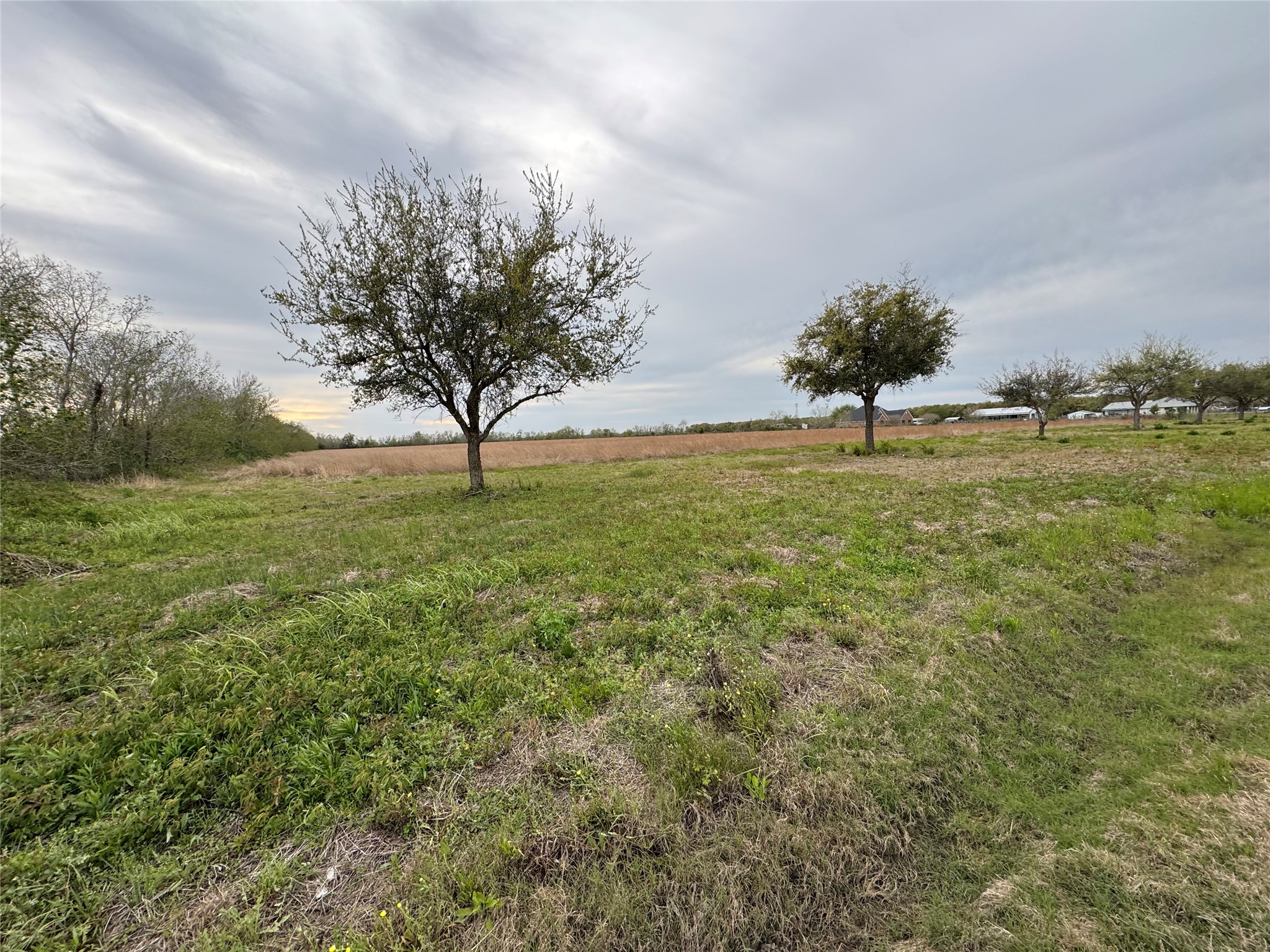 3 County Road 46 Angleton, TX 77515 - Photo 11 of 14