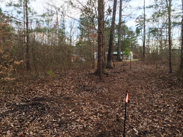 425 Busted Rock Road Old Fort, TN 37362 - Photo 28 of 31 425 Busted - 12 westside property line