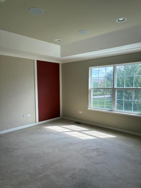 175 Owen Street Matteson, IL 60443 - Photo 19 of 26 an empty room with windows
