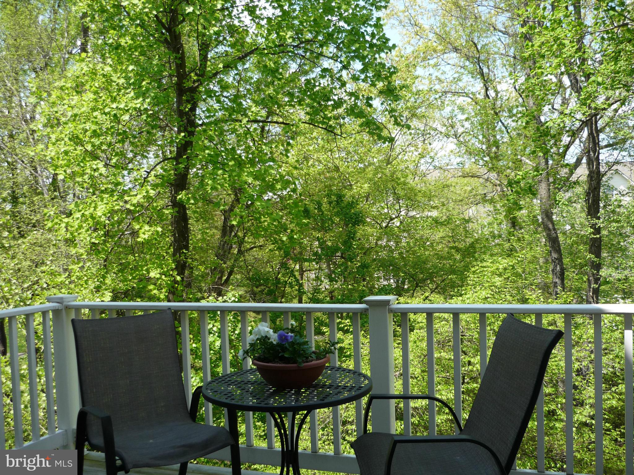 9862 Garden Ranges Laurel, MD 20723 - Photo 12 of 30 Exterior (Rear)