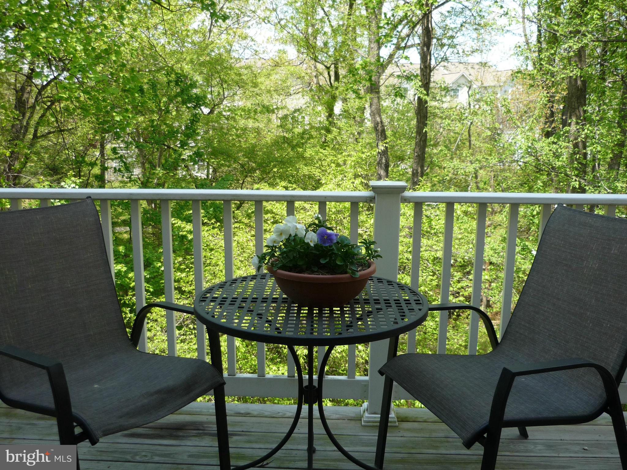 9862 Garden Ranges Laurel, MD 20723 - Photo 13 of 30 Exterior (Rear)