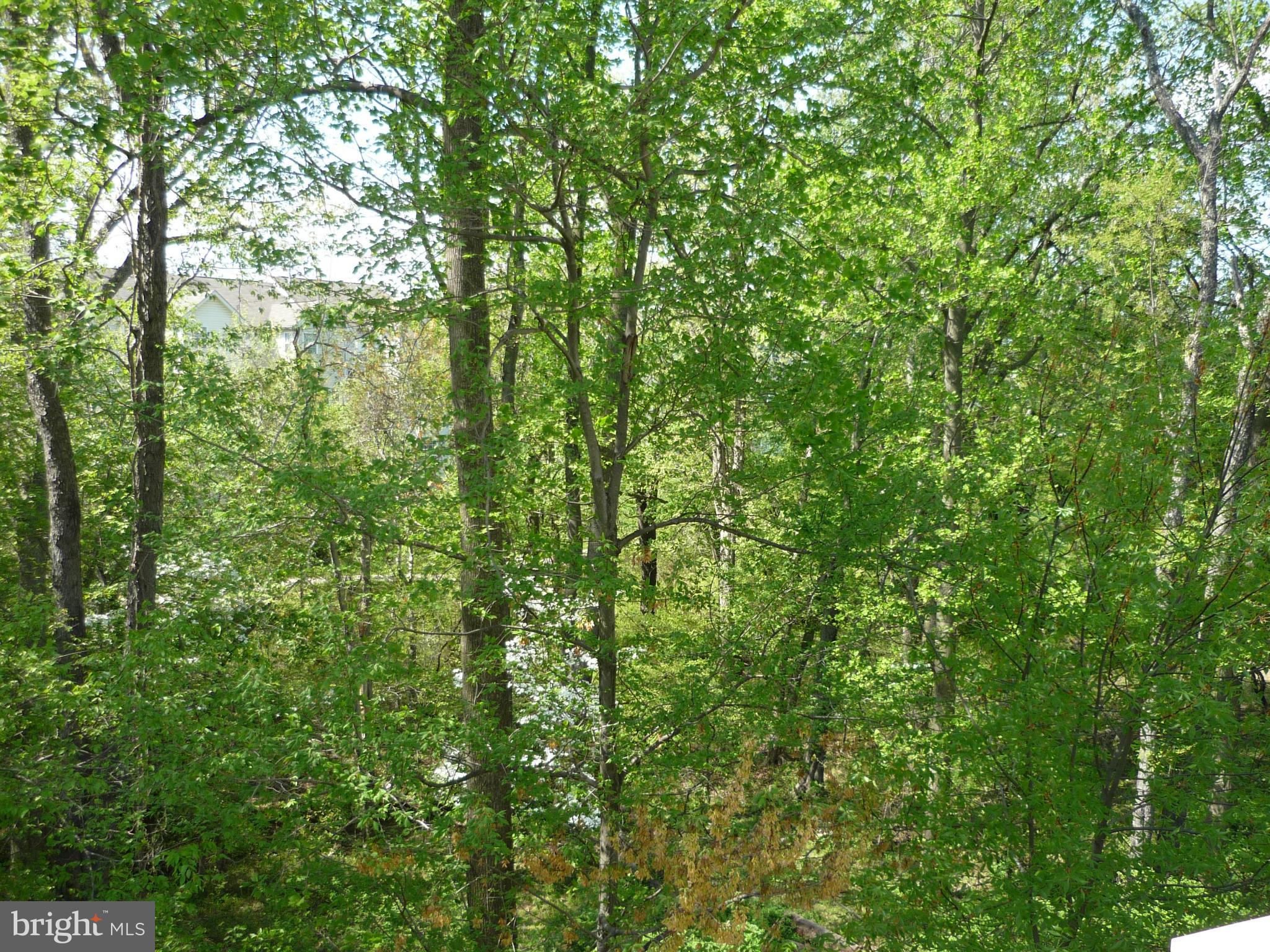 9862 Garden Ranges Laurel, MD 20723 - Photo 26 of 30 View
