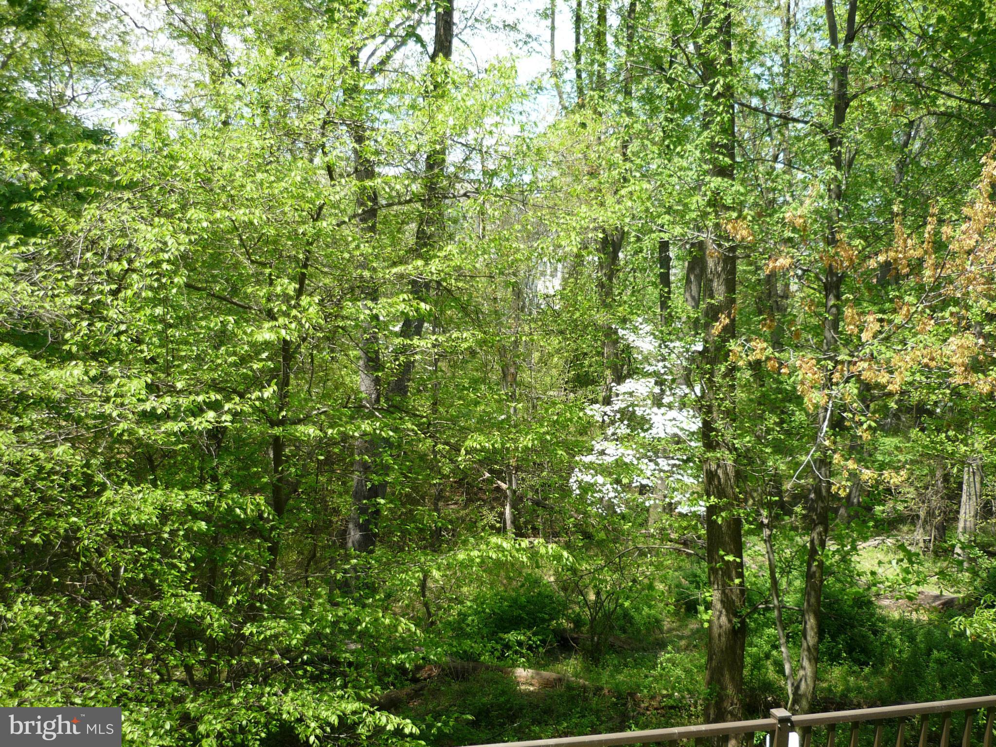 9862 Garden Ranges Laurel, MD 20723 - Photo 27 of 30 View