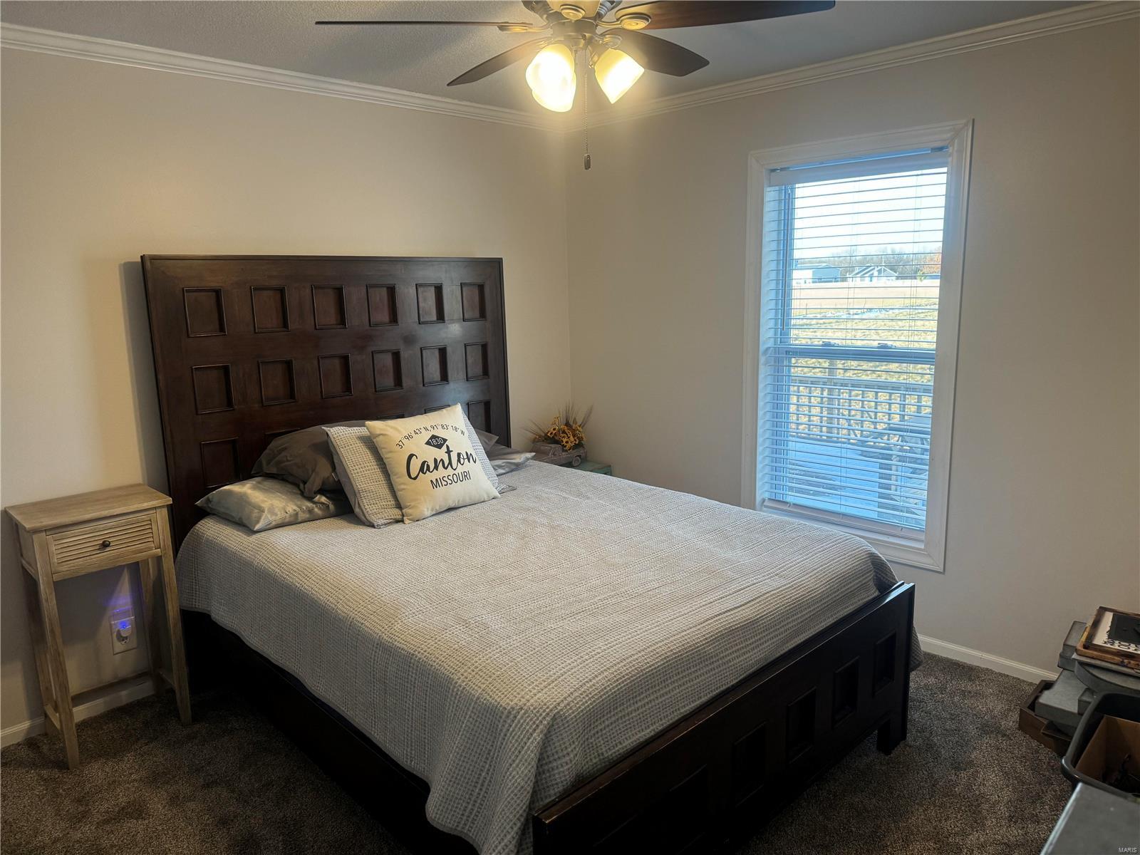 31386 158th Street Canton, MO 63435 - Photo 32 of 43